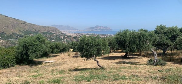 terreno agricolo in vendita a Bagheria