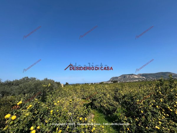 terreno agricolo in vendita a Bagheria