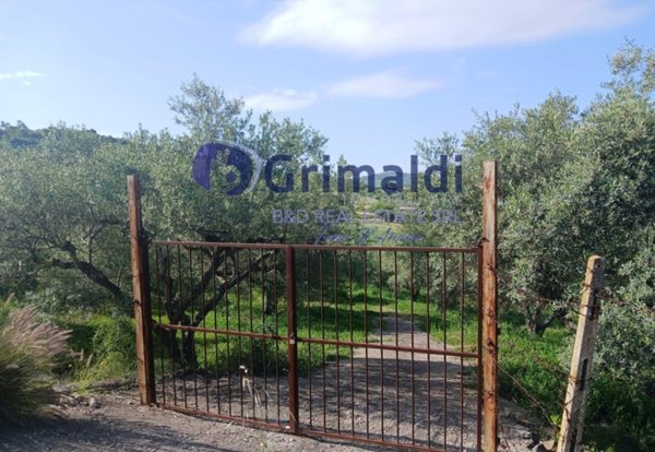 terreno agricolo in vendita a Bagheria