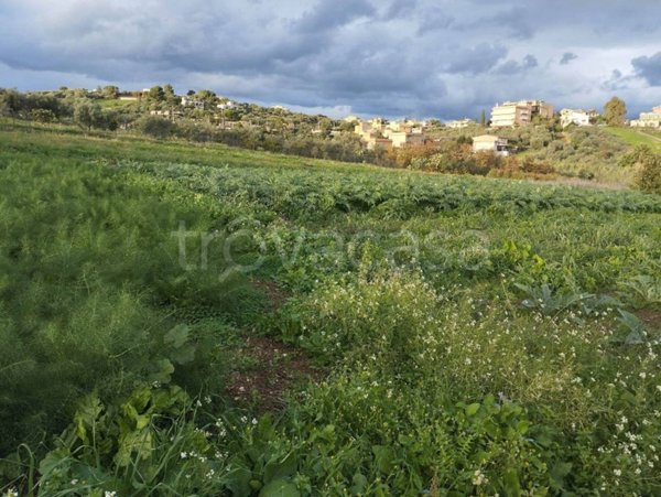 terreno agricolo in vendita a Bagheria
