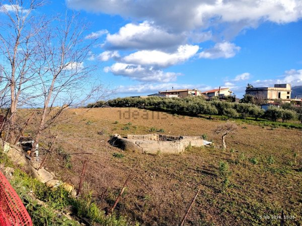 terreno agricolo in vendita a Bagheria