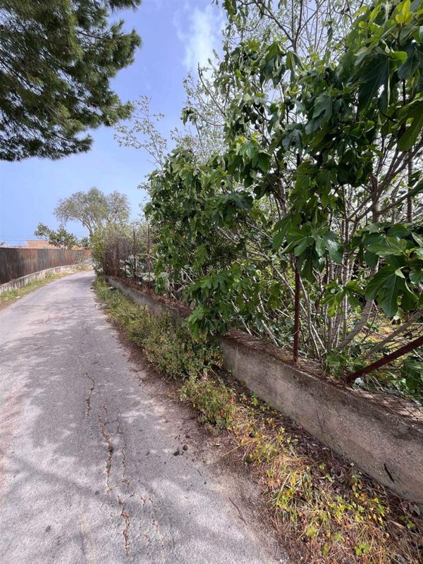 terreno agricolo in vendita a Bagheria