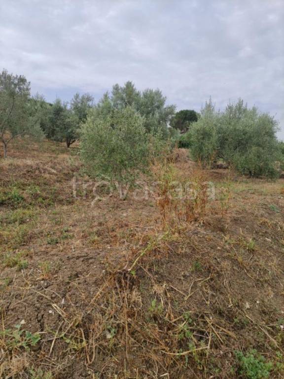 terreno agricolo in vendita a Bagheria