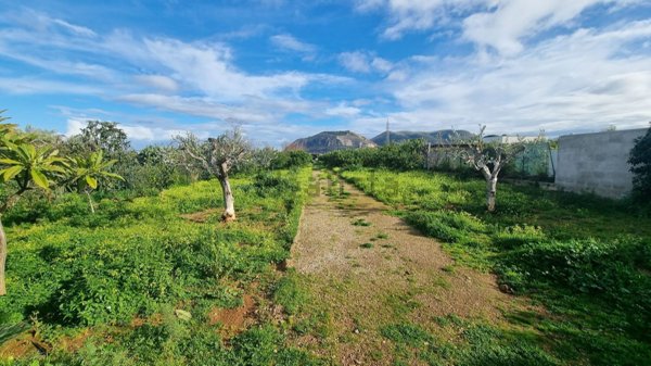 terreno agricolo in vendita a Bagheria in zona Centro Città