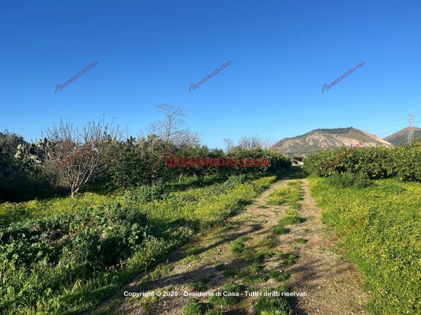 casale in vendita a Bagheria