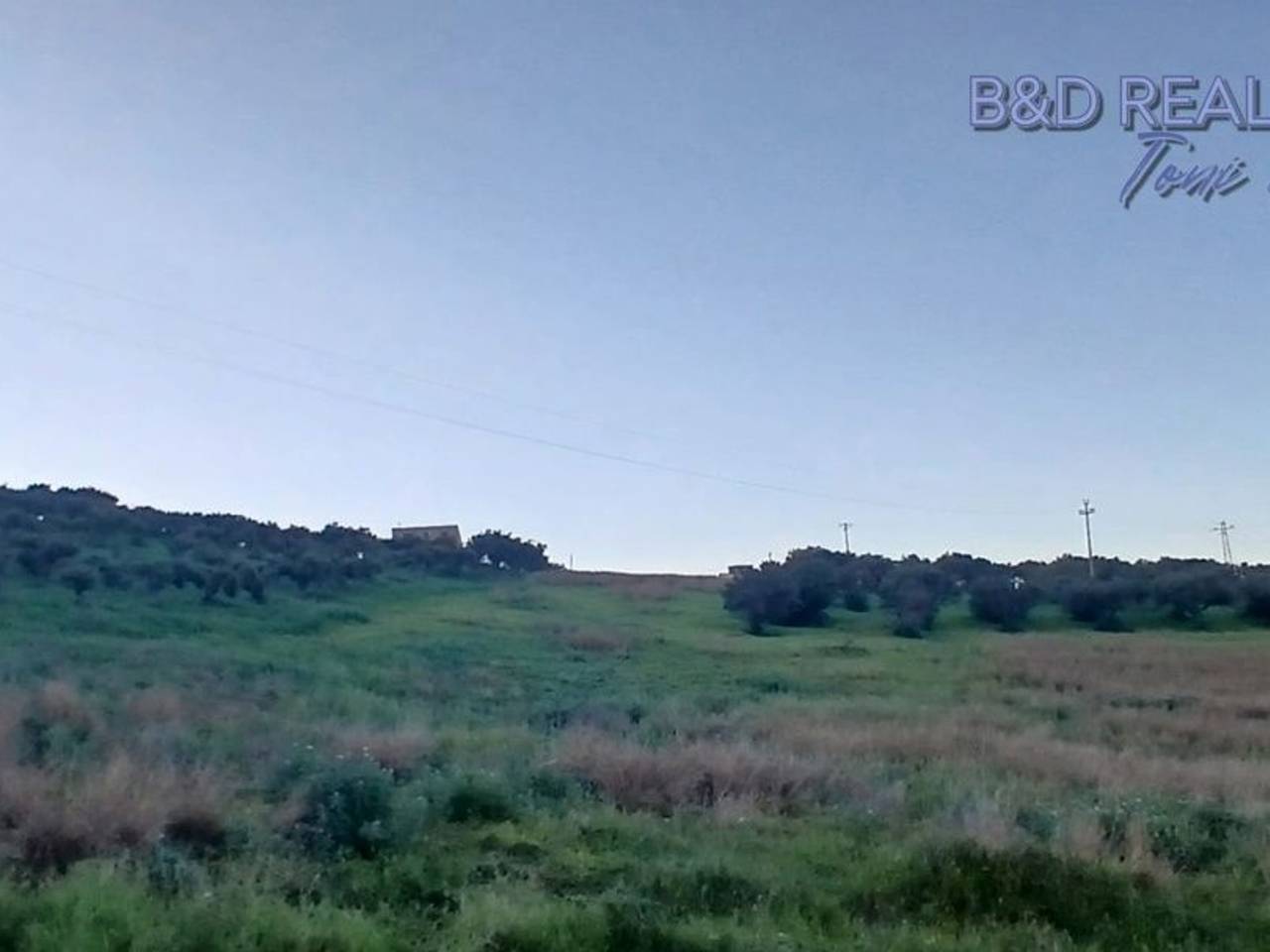 terreno agricolo in vendita a Bagheria