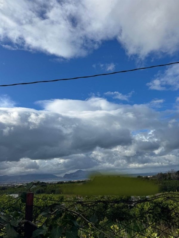 terreno agricolo in vendita a Bagheria