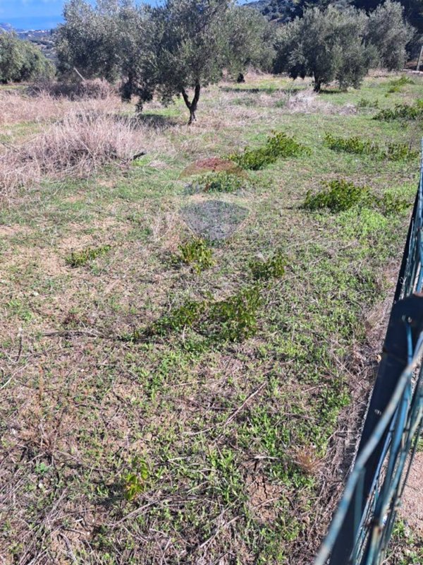 terreno agricolo in vendita a Bagheria