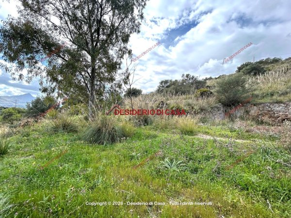 terreno agricolo in vendita a Bagheria