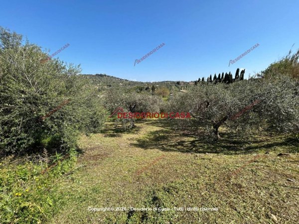 terreno agricolo in vendita a Bagheria