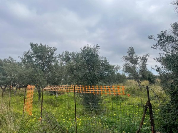 terreno agricolo in vendita a Bagheria in zona Campagnone