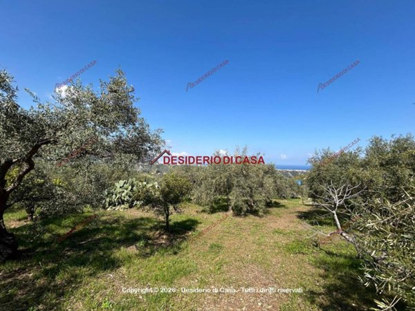 terreno agricolo in vendita a Bagheria
