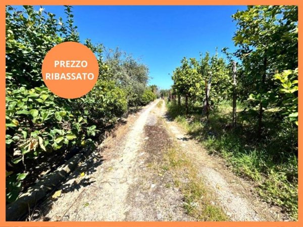 terreno agricolo in vendita a Bagheria
