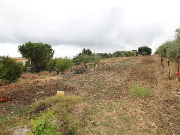 terreno agricolo in vendita a Bagheria
