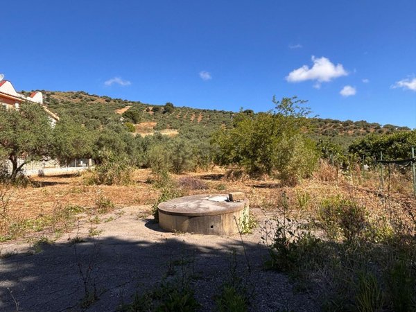 terreno agricolo in vendita a Bagheria