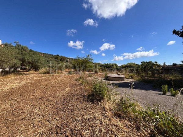 terreno agricolo in vendita a Bagheria in zona Villa Cavaretta