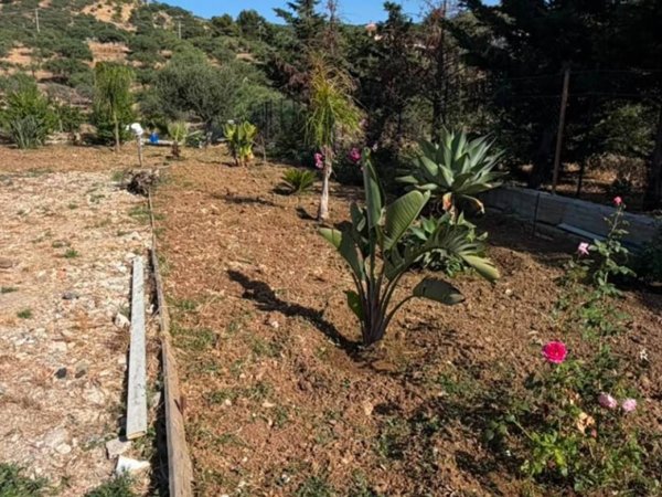 terreno agricolo in vendita a Bagheria