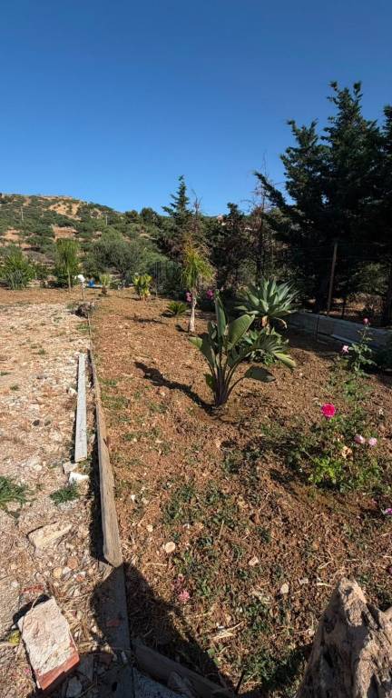terreno agricolo in vendita a Bagheria