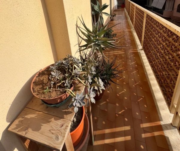 appartamento in vendita a Bagheria in zona Villa Cavaretta
