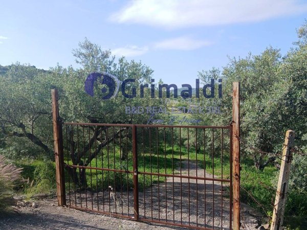 terreno agricolo in vendita a Bagheria
