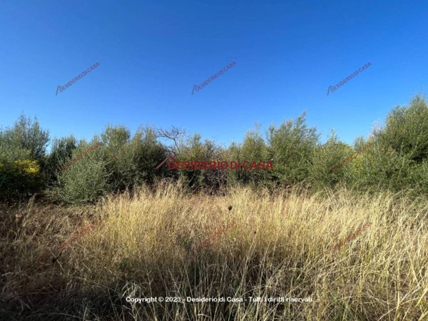 terreno agricolo in vendita a Bagheria in zona Campagnone