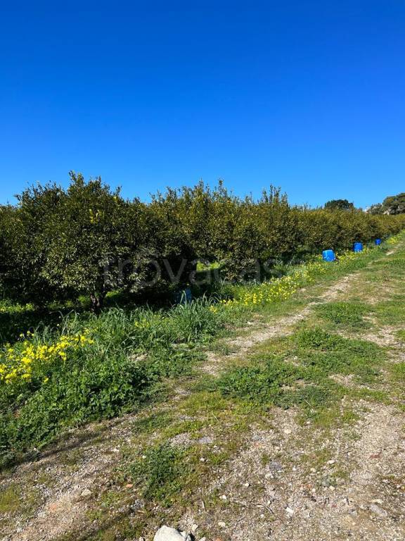 terreno in vendita a Bagheria
