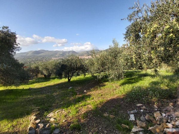 terreno in vendita a Bagheria