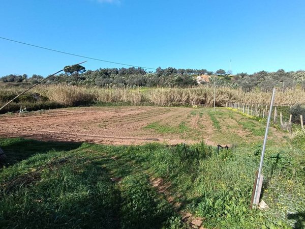 terreno agricolo in vendita a Balestrate