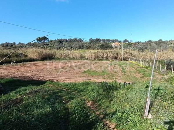 terreno agricolo in vendita a Balestrate
