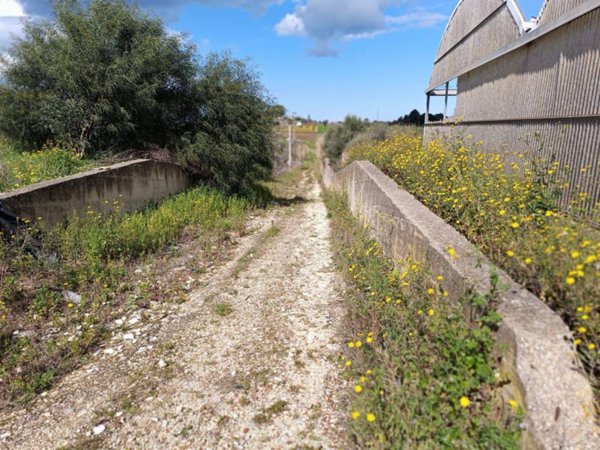 terreno agricolo in vendita a Balestrate