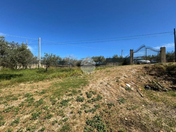 terreno agricolo in vendita a Balestrate