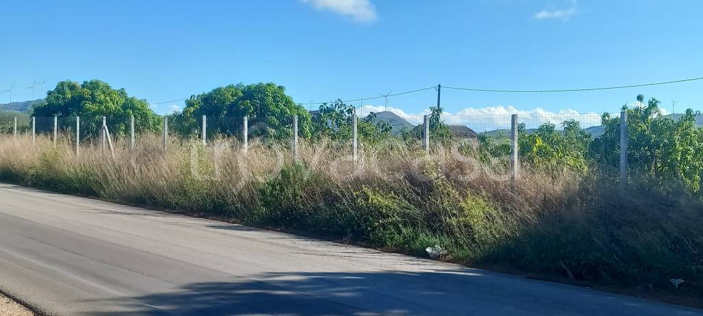 terreno agricolo in vendita a Balestrate