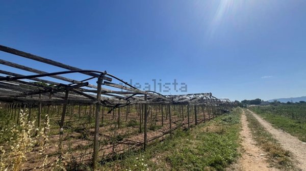 terreno agricolo in vendita a Balestrate