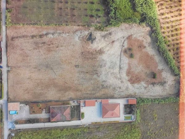 terreno agricolo in vendita a Balestrate