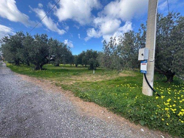 casa indipendente in vendita a Balestrate