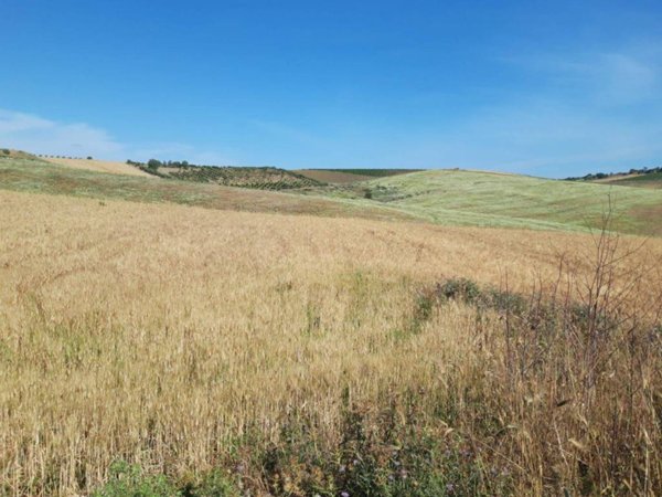 terreno agricolo in vendita a Balestrate