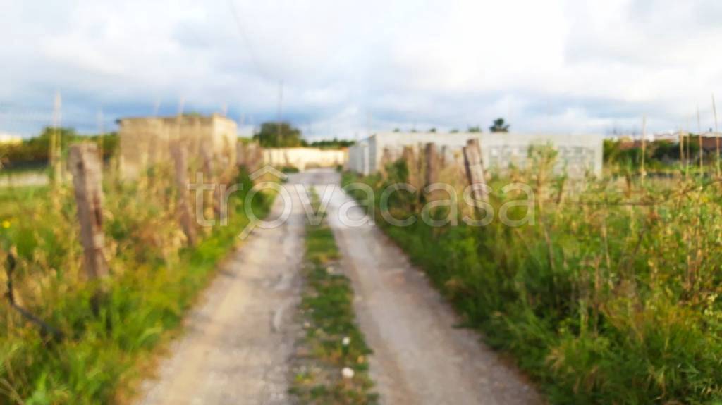 terreno agricolo in vendita a Balestrate