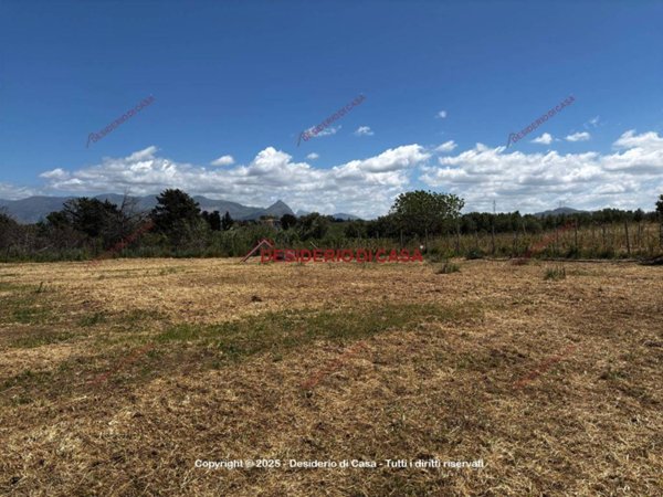 terreno agricolo in vendita a Balestrate