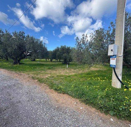 terreno agricolo in vendita a Balestrate
