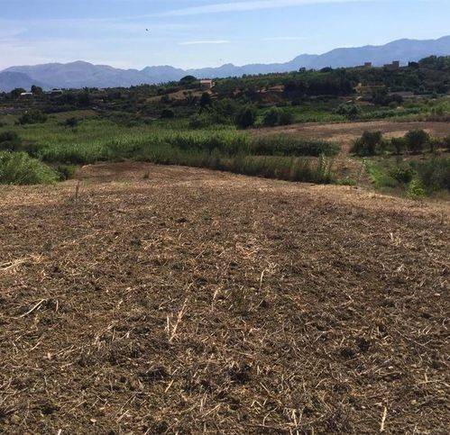 terreno agricolo in vendita a Balestrate