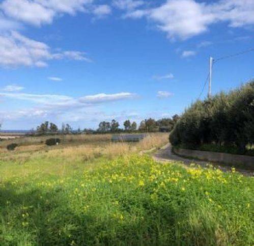 terreno agricolo in vendita a Balestrate