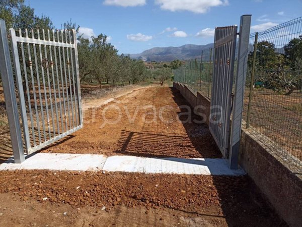 terreno agricolo in vendita a Balestrate