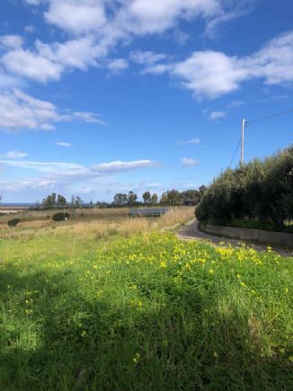 terreno agricolo in vendita a Balestrate