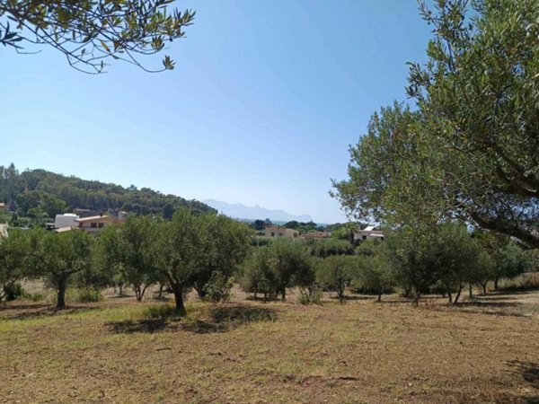 terreno agricolo in vendita a Balestrate