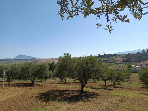 terreno agricolo in vendita a Balestrate