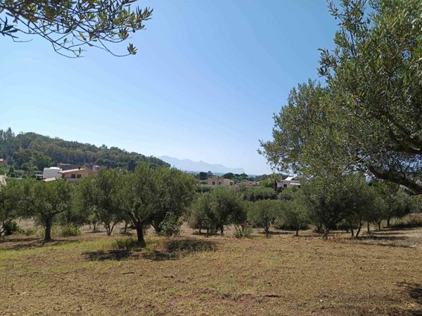 terreno agricolo in vendita a Balestrate