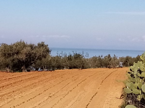 terreno agricolo in vendita a Balestrate