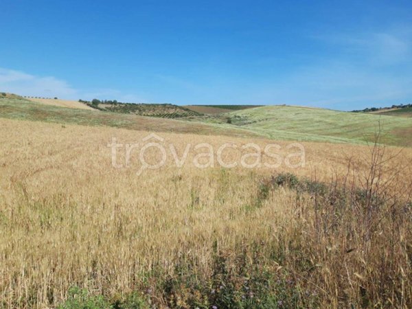 terreno agricolo in vendita a Balestrate