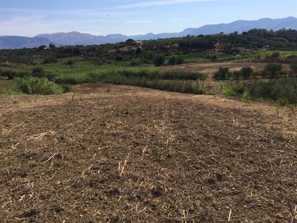 terreno agricolo in vendita a Balestrate