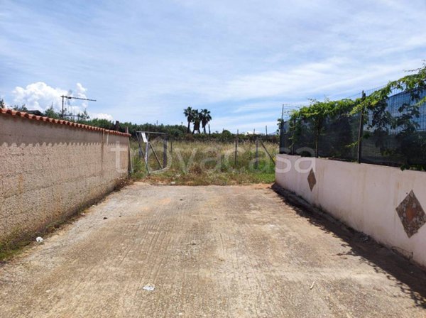 terreno agricolo in vendita a Balestrate